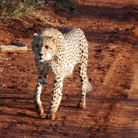 Kgorogoro Lodge Pilanesberg Luaran gambar